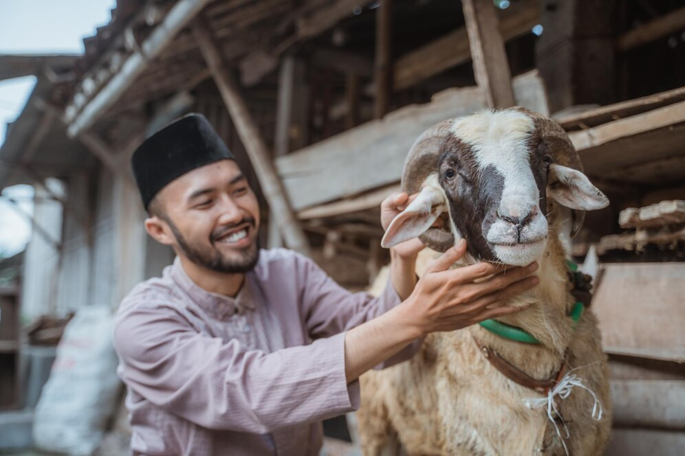 Harga Hewan Qurban 2025: Panduan Lengkap dan Terpercaya untuk Qurban yang Amanah